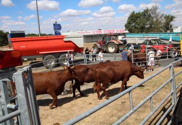 manifestation du 23 juillet à Auchan Sud