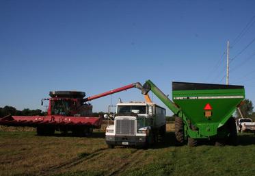 Les Etats-Unis, c’est 983,1 Mha, dont 914,4 Mha de terres, dont 405,4 Mha de terres agricoles et 309,5 Mha de forêts.