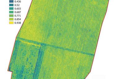 Etude de la variabilité intra-parcellaire de la vigne : indice NDVI au 28/06/2016