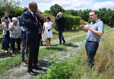 Le préfet, Pierre N’Gahane, a visité une parcelle envahie par l’ambroisie, le 3 juillet à Mouthiers-sur-Boëme