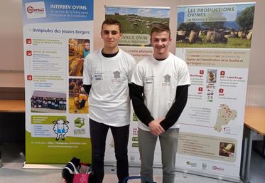 Théophile Baudouin et Clément Bergère, meilleurs bergers de Nouvelle-Aquitaine.