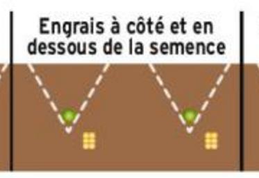 Selon les machines et l'interrang, l'engrais peut être placé à cinq positions différentes par rapport à la semence.