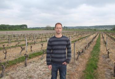 Michael Baudon envisage de déplacer ses vignes de Gamay vers des secteurs moins sensibles aux épisodes de gel.