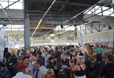 Professionnels et/ou grand public, Aquitanima parvient à séduire. deux publics pendant ses concours et autres présentations.