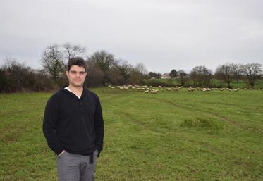 Mathieu envisage de tester les couverts relais, une technique suisse qui consiste à planter deux catégories de plantes dans le couvert en un seul semis afin d’avoir des espèces capables de continuer leur croissance pendant la saison hivernale suite au pâturage d’automne.