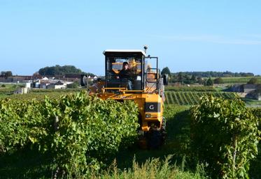 Une petite récolte en Charente pour 2016