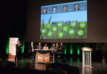 Au menu de table ronde, les relations avec la grande distribution. 