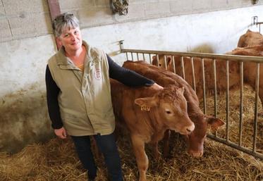 Le veau de Chalais demande un soin particulier dans son alimentation.