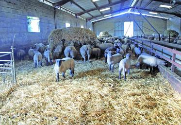 6 visites se sont déroulées dans la Vienne, dont une chez un éleveur ovin et bovin