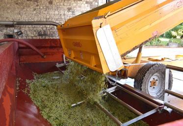 Entre 9 et 9,5 hl AP/ha, loin des 11,02 hl AP/ha prévus.