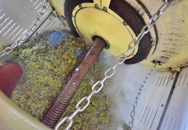 Le risque de piqure lactique pourrait être présent cette année ce qui imposera une vigilance particulière dans le suivi des fermentations alcoolique et malolactique.