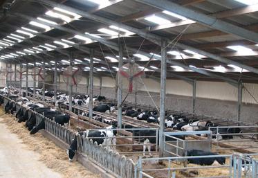 Une large palette de sols existe. Ils garantissent une meilleure santé du cheptel.