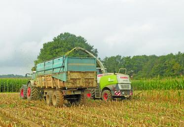 Dans quelques semaines débutera la pleine période des chantiers agricoles. Il est parfois bon de faire quelques rappels : « Selon nos statistiques, les accidents arrivent souvent dans les quelques jours qui suivent une embauche. Q