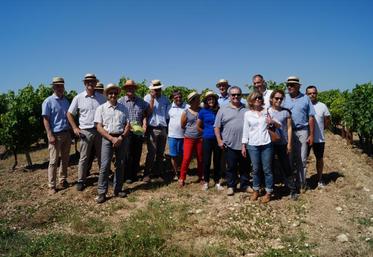 Le groupe dans les vignes.