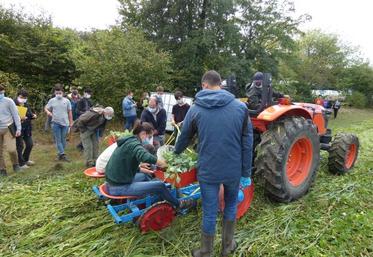 La plantation des jeunes pousses, après le passage du rouleau faca, sous les yeux des participants - dont de nombreux élèves du lycée.