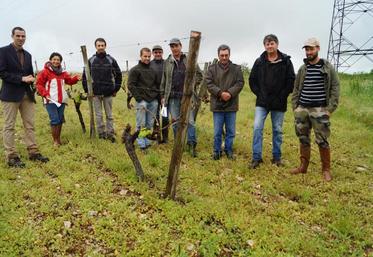 Les huit viticulteurs de Hiersac, encadrés par Jean-Christophe Gérardin (à gauche).