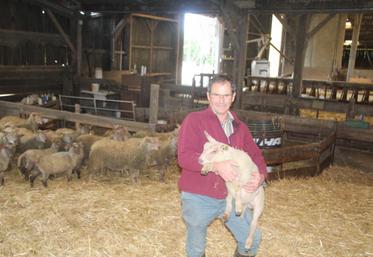 Plusieurs sujets inquiètent Daniel Gaillard quant à l’avenir de la filière ovine régionale.