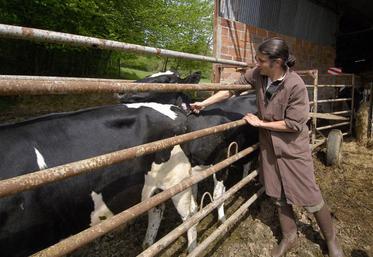 Vaccination contre la FCO.