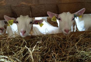 La contribution des éleveurs va largement augmenter.