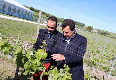 Florent Morillon, directeur Amont (à droite), rappelle qu’Hennessy propose des accompagnements à ses partenaires livreurs.