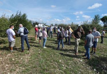 À l’issue de la réunion organisée à Landrais, les participants ont pu échanger à l’occasion de la visite d’une truffière sur une aire de captage de l’Aunis.