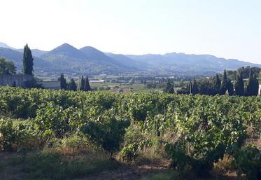 Invitée à la Foire-expo de Grande Champagne il y a 25 ans, le Pays Vaison-Ventoux, en Provence, revient en terre cognaçaise pour la 31e édition.