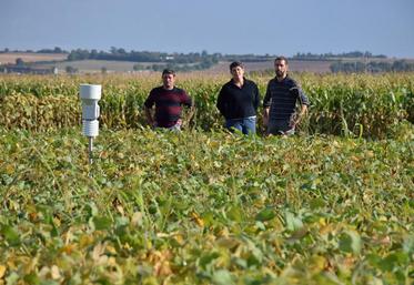 Thierry Passebon, propriétaire des parcelles, Myriam Blanchard adhérente de l’Adiv et Guillaume Chamouleau président d’Aquanide au cœur de la plateforme d’essais à visiter jeudi 14 septembre.