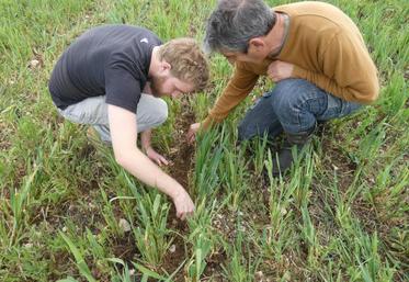 Côme Darchis et Hervé Gaborit, inspectant le travail réalisé par le semoir.