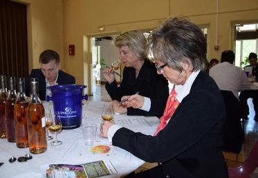 Dégustation des eaux-de-vie VSOP pour le jury le 25 avril à la salle des Distilleries de Segonzac.