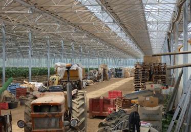 Les pans sud de la toiture ne sont pas occupés par du verre, mais par des panneaux solaires.