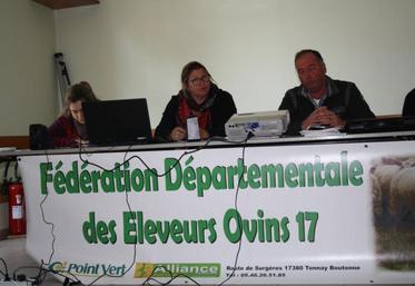 Une production ovine qui intéresse et une fédération qui s’interroge.
