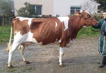 Sylvain Lalot et Jauresse, une Pie rouge des plaines.