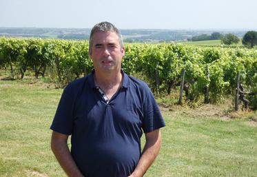 Pascal Guilloton, nouveau président du Syndicat des producteurs de pineau des Charentes.