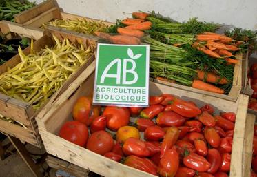 La Nouvelle-Aquitaine est en troisième position concernant le nombre d’agriculteurs engagées en bio.