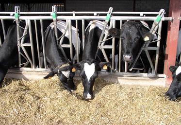 L'objectif sera de former non pas de futurs producteurs, mais des salariés pour les exploitations existantes.