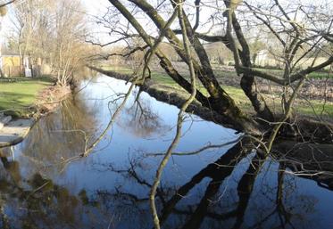 «La biodiversité et son maintien restent en filigrane de la rédaction du Sage Seudre» souligne Jean-Philippe David «mais c'est avant tout la préservation du système écosystémique.»