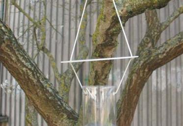 La Fredon Charente-Maritime propose des pièges sélectifs. 