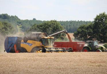 Le point sur la campagne 2018/2019.