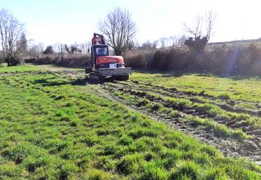 Pâturage, préparation des terrains, Mathieu Picauville
