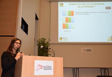 Il est indispensable de combiner différents leviers de lutte contre l’orobanche, même si, aujourd’hui, ceux-ci ont un effet partiel. Si un levier est actionné seul, son intérêt est encore plus réduit.