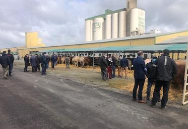 Les éleveurs et les acheteurs auront répondu présent pour cette édition un peu particulière.