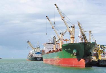 « Le niveau exceptionnel de la récolte 2019/2020 a permis de rattraper un premier semestre très décevant », souligne le directeur général Vincent Poudevigne.