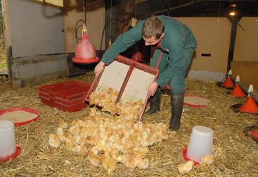 Cette nouvelle obligation est assortie d’une obligation de formation pour les référents en élevage de volailles, notamment.