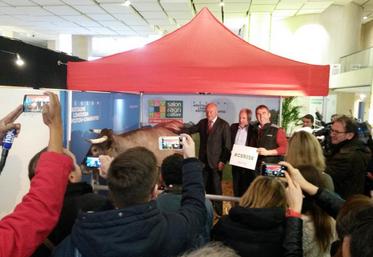 La star Cerise, mitraillée par les photographes, aux côtés d'Alain Rousset, Jean-Pierre Raynaud et de l'éleveur, Joël Sillac.