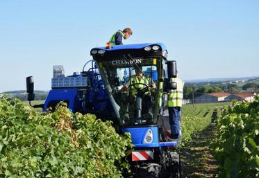 Le vignoble est sous surveillance accrue.