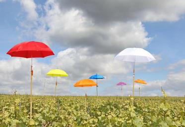 Samedi 3 septembre, bibliothèque du Muséum d’histoire naturelle de La Rochelle, 15 h.