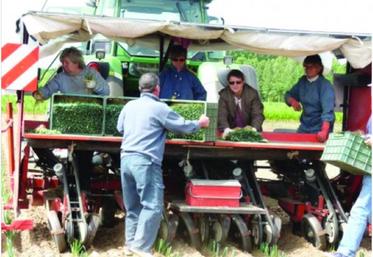 Le compte pénibilité est remis en cause par la patronat.