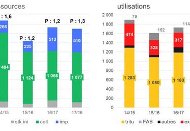 Tournesol en France.