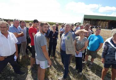Sur l'exploitation de François et Loïc Avrard, la préfète de région Fabienne Buccio (au centre) a pu découvrir l'agriculture du Marais poitevin, à quelques centaines de mètres de la Sèvre niortaise.