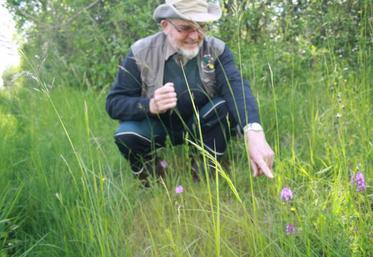 Jean-Claude Querré montrant une Anacamptis Pyramidalis